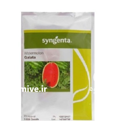 بذر هندوانه کالاتا در چوار در گروه خرید و فروش بذر هندوانه در یکمیوه -عکس1