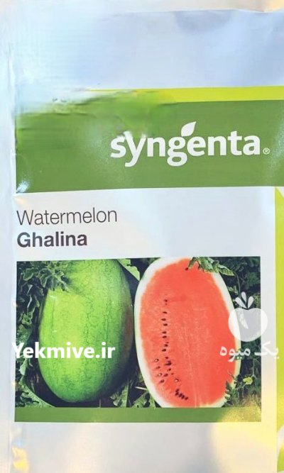 بذر هندوانه گالینا در بنت در گروه خرید و فروش بذر هندوانه در یکمیوه -عکس1