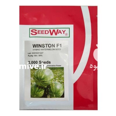 بذر هندوانه وینستون در باسمنج در گروه خرید و فروش بذر هندوانه در یکمیوه -عکس1