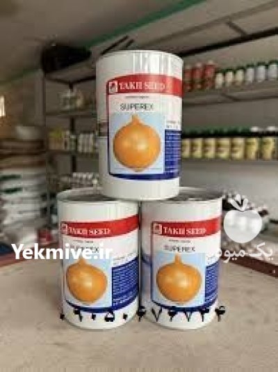 فروش ویژه بذر پیاز تاکی اصل در جیرفت در گروه خرید و فروش بذر پیاز در یکمیوه -عکس1