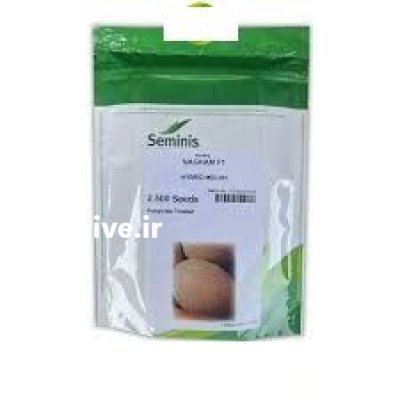 بذر خربزه نغم در تیتکانلو در گروه خرید و فروش بذر خربزه در یکمیوه -عکس1