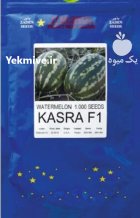 خرید بذر هندوانه کسری کسرا در بار  در گروه خرید و فروش بذر هندوانه در یکمیوه