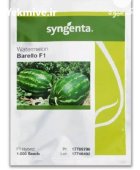 بذر هندوانه بارلو در اهواز در گروه خرید و فروش بذر هندوانه در یکمیوه