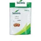 بذر پیاز چنسلور در بمپور در گروه خرید و فروش بذر پیاز در یکمیوه