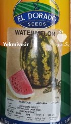 بذر هندوانه الدورادو در پاوه در گروه خرید و فروش بذر هندوانه در یکمیوه