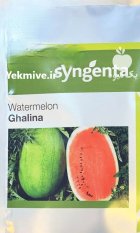 بذر هندوانه گالینا در بنت در گروه خرید و فروش بذر هندوانه در یکمیوه