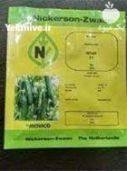 قیمت بذر خیار نیکرسون اصل در مشهد در گروه خرید و فروش بذر خیار در یکمیوه