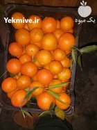 فروش تامسون خونی و نارنگی پیج کرمانتین در تنکابن در گروه خرید و فروش نارنگی در یکمیوه