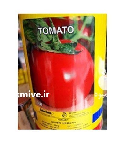 فروش بذر گوجه یونی ژن در دهدشت در گروه خرید و فروش بذر گوجه در یکمیوه -عکس1