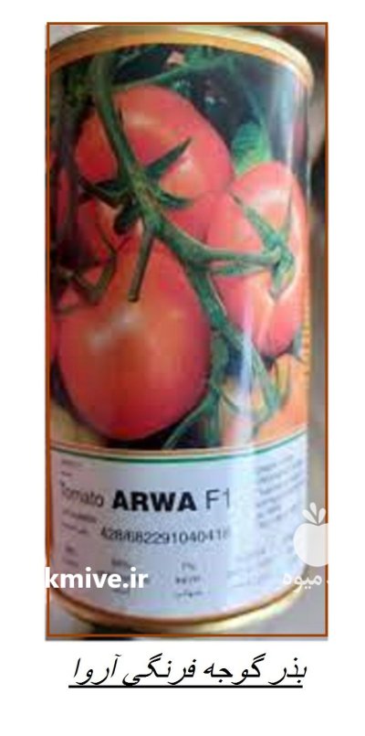 بذر گوجه اروا در باخرز در گروه خرید و فروش بذر گوجه در یکمیوه -عکس1