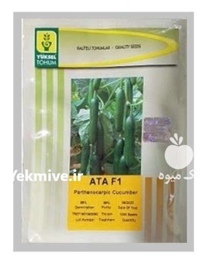 بذرخیار گلخانه ای آتا در بشرویه در گروه خرید و فروش بذر خیار در یکمیوه -عکس1