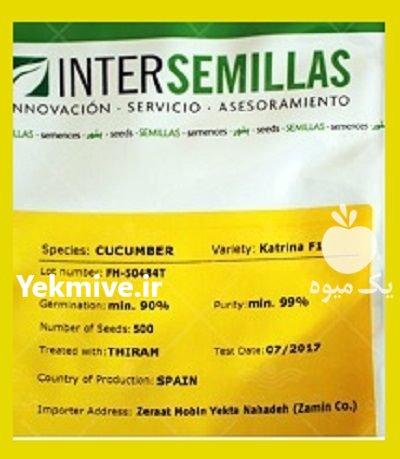 بذر خیار درختی کاترینا در بردسکن در گروه خرید و فروش بذر خیار در یکمیوه -عکس1