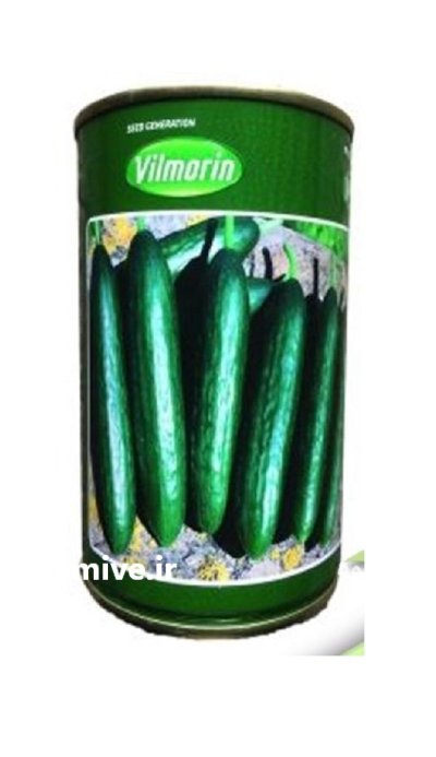 بذر خیار ایمپرس در راز  در گروه خرید و فروش بذر خیار در یکمیوه -عکس1