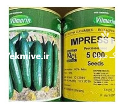 بذر خیار ایمپرس در راز  در گروه خرید و فروش بذر خیار در یکمیوه -عکس2