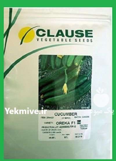بذر خیار اورکا کلوز در سامان در گروه خرید و فروش بذر خیار در یکمیوه -عکس1