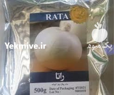 خرید بذر پیاز راتا با کیفیت در اهواز در گروه خرید و فروش بذر پیاز در یکمیوه -عکس1