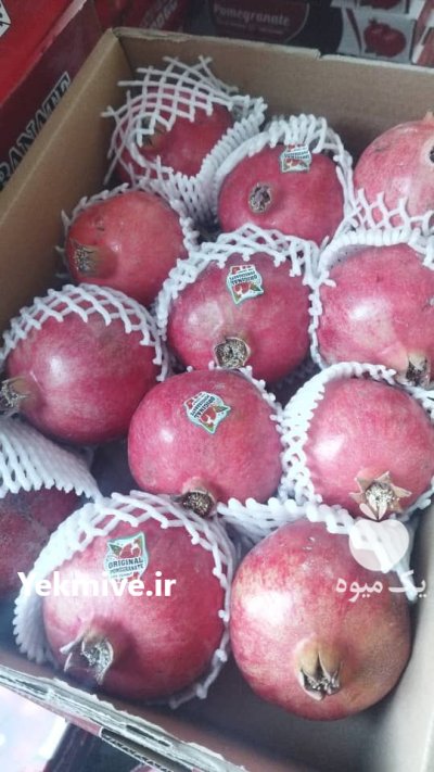 حق العمل کاری قربانی در هرمزگان در گروه حق العمل کاری محصولات کشاورزی در یکمیوه -عکس1