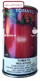 بذر گوجه فرنگی رداستون در سمنان در گروه خرید و فروش بذر گوجه در یکمیوه