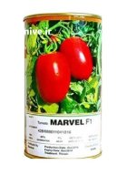 فروش بذر گوجه مارول در باغستان در گروه خرید و فروش بذر گوجه در یکمیوه