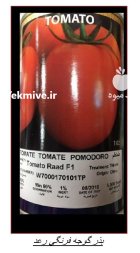 توزیع بذر گوجه رعد در خضری دشت بیاض در گروه خرید و فروش بذر گوجه در یکمیوه