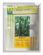 بذرخیار گلخانه ای آتا در بشرویه در گروه خرید و فروش بذر خیار در یکمیوه