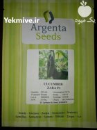 بذر خیار گلخانه ای زارا در آیسک در گروه خرید و فروش بذر خیار در یکمیوه