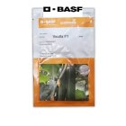 بذر خیار گلخانه ای ویولا در پردیس در گروه خرید و فروش بذر خیار در یکمیوه