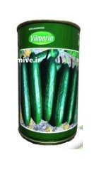 بذر خیار ایمپرس در راز  در گروه خرید و فروش بذر خیار در یکمیوه