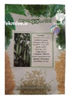 بذر خیار استوانه ای کریم در درجزین در گروه خرید و فروش بذر خیار در یکمیوه