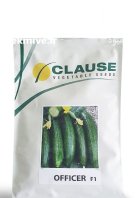 بذر خیار آفیسر کلوز در شلمزار در گروه خرید و فروش بذر خیار در یکمیوه