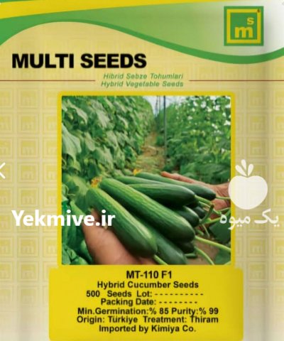 فروش بذر خیار MT 310 اصل عملکرد در مشهد در گروه خرید و فروش بذر خیار در یکمیوه -عکس1