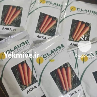 بذر هویج آنکا کلوز فرانسه در خرم آباد در گروه خرید و فروش بذر هویج در یکمیوه -عکس1