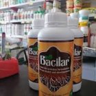 خرید سم باسیلار اصل بهترین سم در جیرفت در گروه خرید و فروش انواع سم در یکمیوه