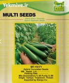 فروش بذر خیار MT 310 اصل عملکرد در مشهد در گروه خرید و فروش بذر خیار در یکمیوه
