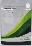 بذر هویج CATANIA سمینیس در اهواز در گروه خرید و فروش بذر هویج در یکمیوه