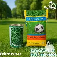 قیمت خرید انواع بذر چمن ب در تهران در گروه خرید و فروش بذر چمن در یکمیوه