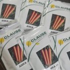 بذر هویج آنکا کلوز فرانسه در خرم آباد در گروه خرید و فروش بذر هویج در یکمیوه