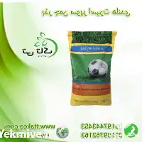 بذر چمن تخم سوپر اسپرت هلندی در تهران در گروه خرید و فروش بذر چمن در یکمیوه