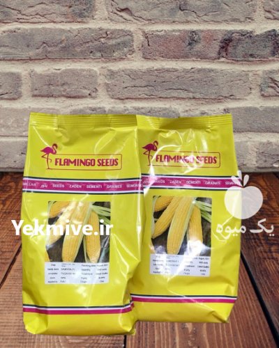 فروش بذر ذرت سمیرا عملکرد بالا در مشهد در گروه خرید و فروش بذر ذرت در یکمیوه -عکس1