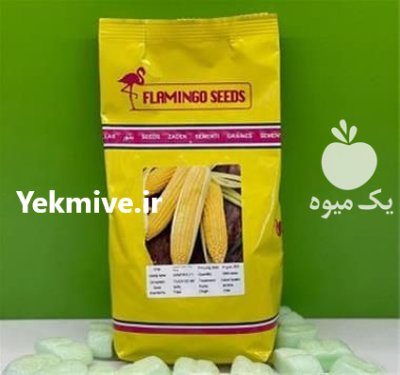 بذر ذرت سمیرا بهترین انتخاب در گرگان در گروه خرید و فروش بذر ذرت در یکمیوه -عکس1