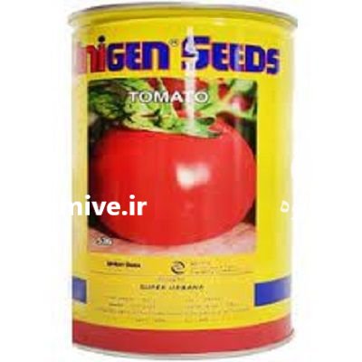 بذر گوجه اوربانا قیمت بذر یونی در اصفهان در گروه خرید و فروش بذر گوجه در یکمیوه -عکس1