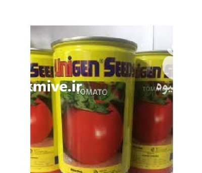 بذر گوجه اوربانا قیمت بذر یونی در اصفهان در گروه خرید و فروش بذر گوجه در یکمیوه -عکس2