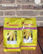 فروش بذر ذرت سمیرا عملکرد بالا در مشهد در گروه خرید و فروش بذر ذرت در یکمیوه