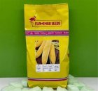 بذر ذرت سمیرا بهترین انتخاب در گرگان در گروه خرید و فروش بذر ذرت در یکمیوه