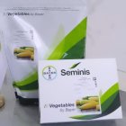 فروش ویژه بذر ذرت مسنجر در اصفهان در گروه خرید و فروش بذر ذرت در یکمیوه