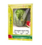 بذر هندوانه شیرین 76 در جاجرم در گروه خرید و فروش بذر هندوانه در یکمیوه