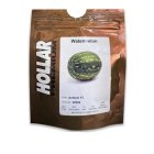 بذر هندوانه آنتم در بیرجند در گروه خرید و فروش بذر هندوانه در یکمیوه