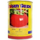 بذر گوجه اوربانا قیمت بذر یونی در اصفهان در گروه خرید و فروش بذر گوجه در یکمیوه