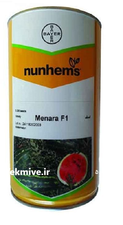 بذر هندوانه منارا در باغستان در گروه خرید و فروش بذر هندوانه در یکمیوه -عکس1