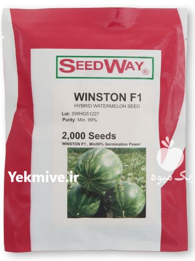 بذر هندوانه وینستون در بایگ در گروه خرید و فروش بذر هندوانه در یکمیوه -عکس1